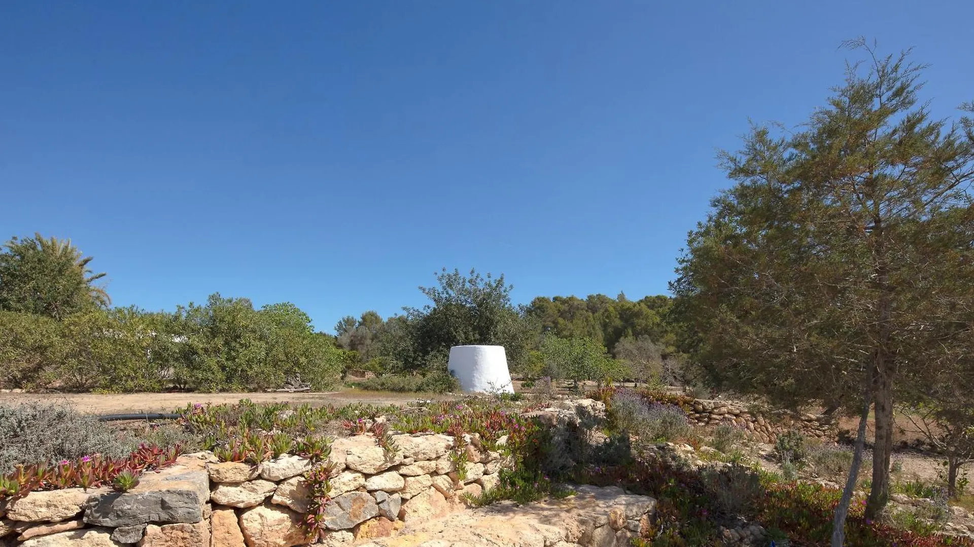 Villa Boutique Ibiza Santa Eularia des Riu Spagna